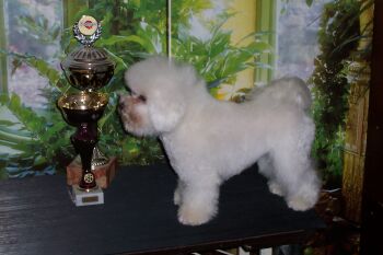 GINGER MEGBL Z PODCHOTOUC�