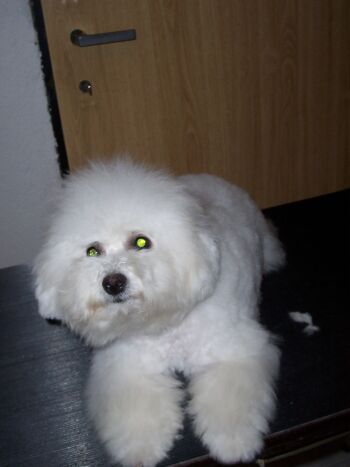 HANNAH ODEBL Z PODCHOTOUC�