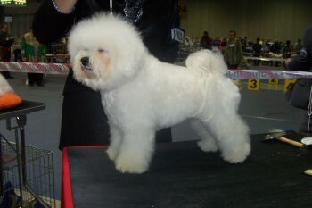 HELLEN ODEBL Z PODCHOTOUC�