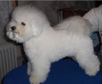 QUIE-QUIE ODEBL z Podchotuc�