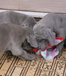 �t��ata 6 t�dn�