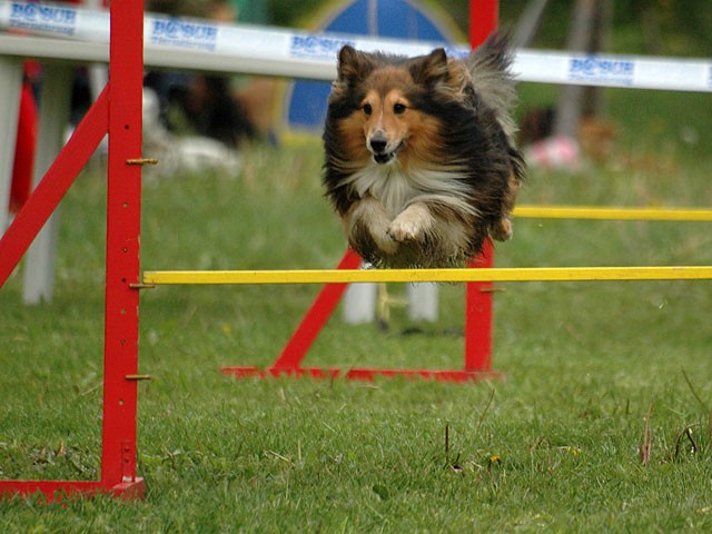 Aki hop!!!