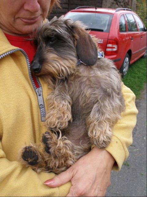 Oskar