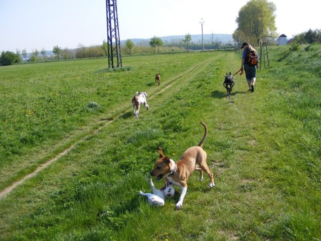 Trha!:)