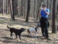 Grabenhunde, Gary a jezkovich