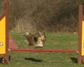 hop