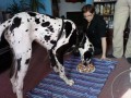 Ag 3 roky