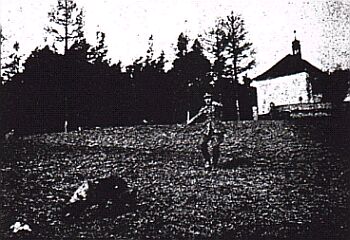 �etn�k se psem na stop�