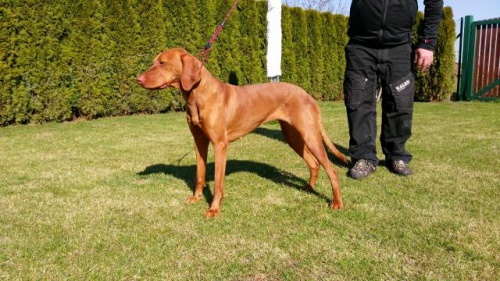 �t�n� ma�arsk�ho oha�e