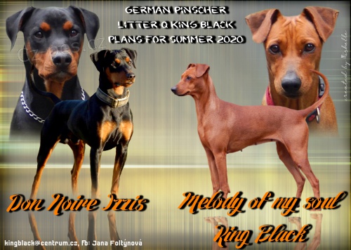 N�meck� pin� s PP