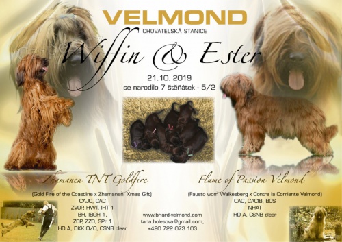 �t���tko briarda - plav� pejsek