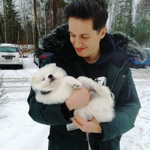 kr�sn� �istokrevn� samojedsk� �t��ata Samci a samice K dispozici hledaj� nov� domov s mikro�ipem a rodokmenem jsou 3 m�s�ce star� se sv�mi rodi�i tak� za ... E-mail ::::: brandonmba10@gmail.com