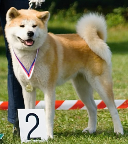 Minamoto Kensha bere z�znamy