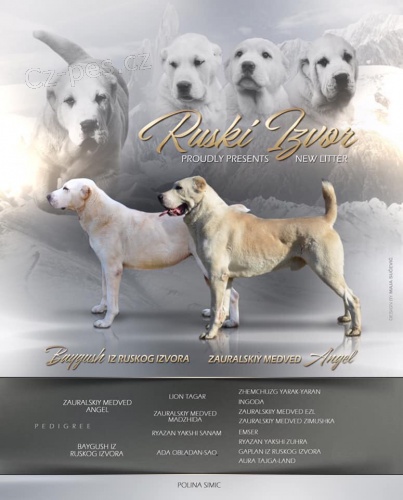 St�edoasijsk� pasteveck� pes �t��ata 