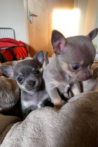 �ivava �t��ata