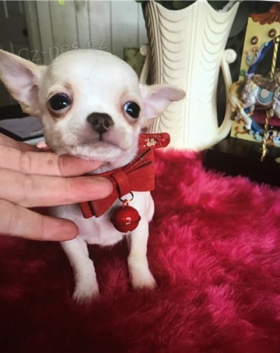 �ivava �t��ata