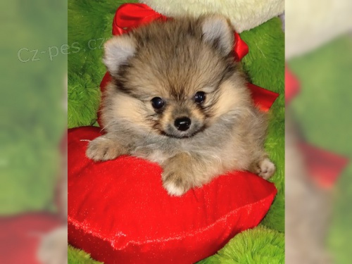 N�meck� �piclsk� �pic