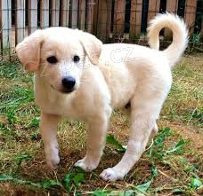 Kana�nsk� �t��ata k dispozici