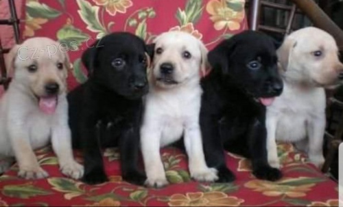 lukas valouchova  - �t�n�tka s PP