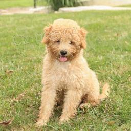 �tuln� miniaturn� pudl�ky