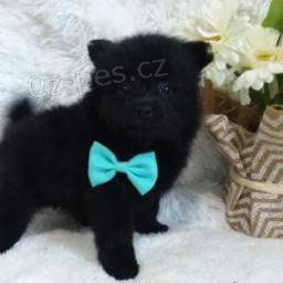 Rozko�n� �picl �t��ata