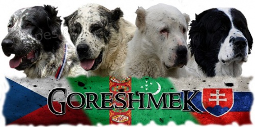 St�edoasijsk� pasteveck� pes - SAO s PP