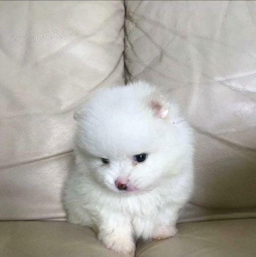 pudl� �t��ata