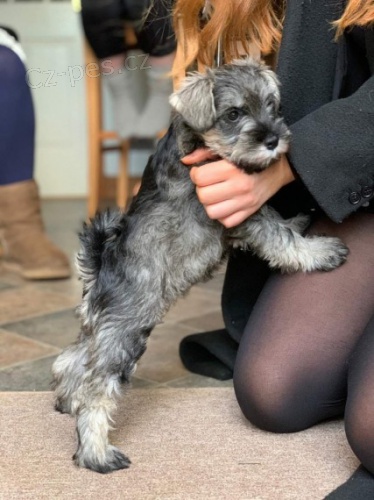 �t��ata kn�ra�