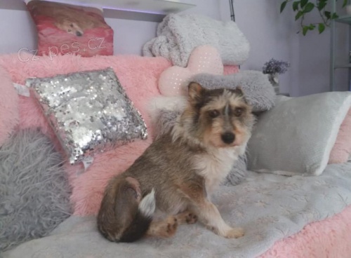 Pro Majlinku hled�me ten nejlep�� domov