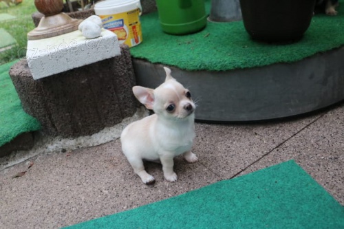 muzy o zeny �t��ata civava zoufale tou�� po nov�ch rodi��ch