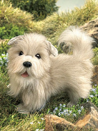 2 v�zbroj    �t��ata k adopci