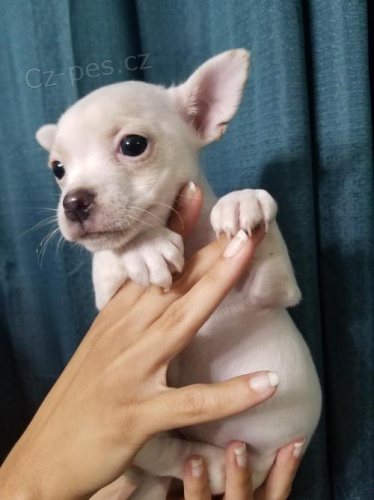 zdrav� �t��ata ve va�� bl�zkosti s dobrou cenou