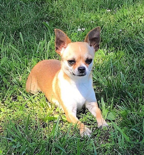 zdrav� �t��ata ve va�� bl�zkosti s dobrou cenou, v�emi injekcemi a vakc�nami