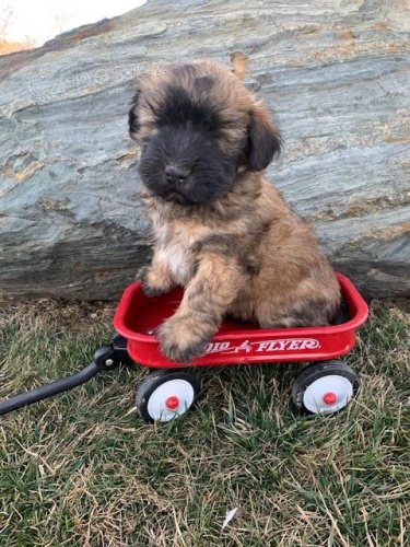 Rozko�n� �t��ata p�eni�n�ho teri�ra s m�kk�m povrchem 