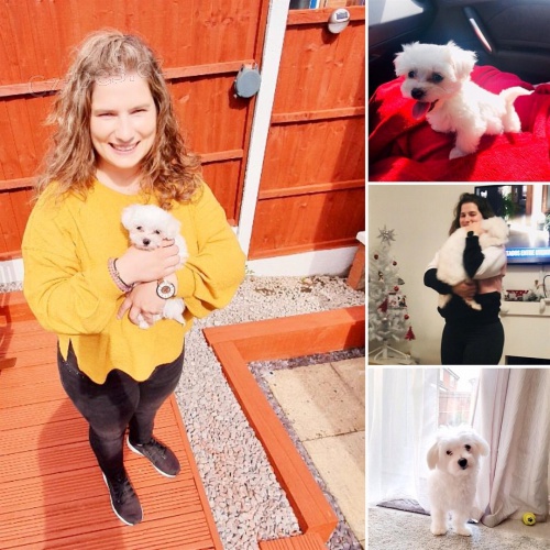 Malt�tina na prodej.