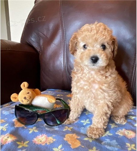 pudl� �t��ata