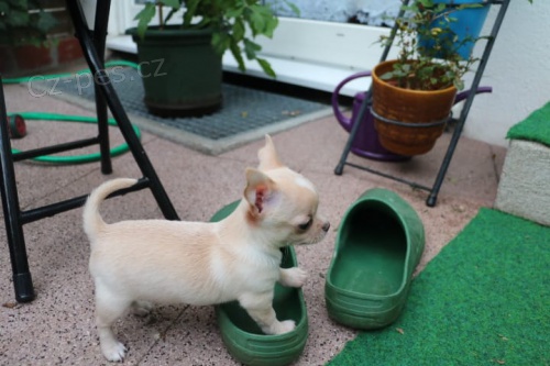 muzy o zeny �t��ata civava zoufale tou�� po nov�ch rodi��ch