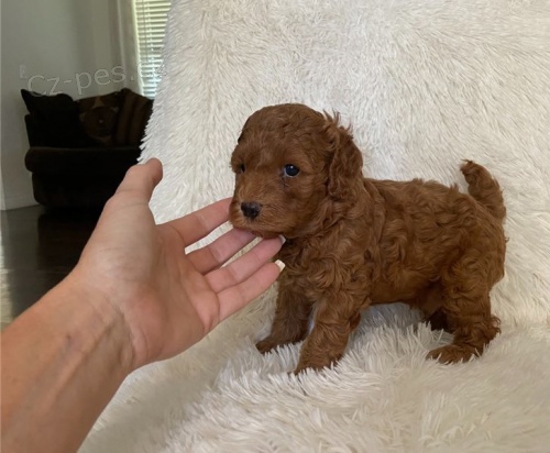 pudl� �t��ata