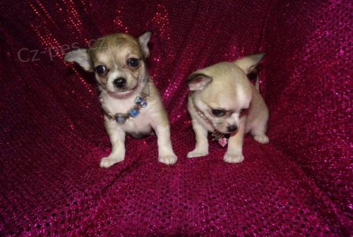 �t��ata mini hra�ky �ivava