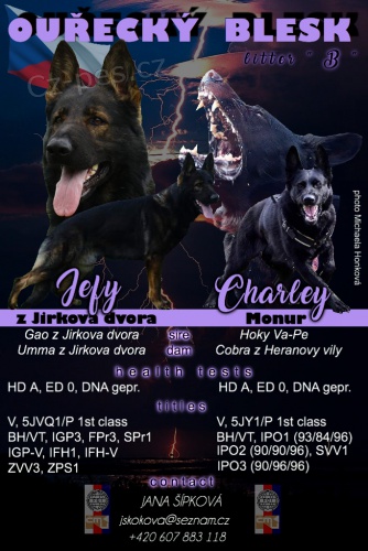 �t�n� n�meck� ov��k