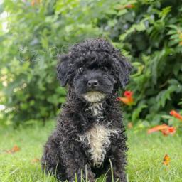 Sladk� miniaturn� pudl�ky