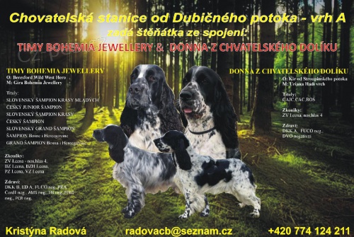 anglick� �pringr�pan�l