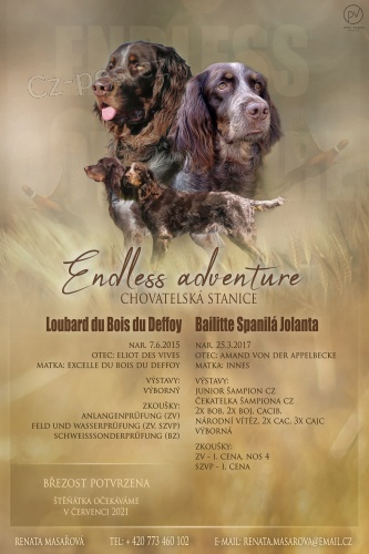 Pikardsk� dlouhosrst� oha�