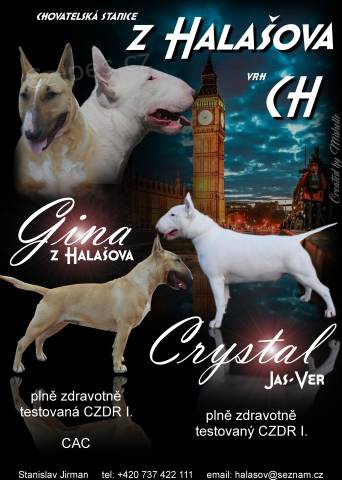 Bulteri�r �t���tka s PP