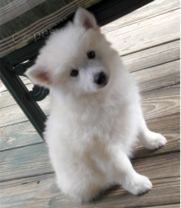 �t��ata �pic� jsou p�ipravena na nov� �t��ata.