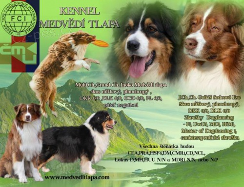 Australsk� ov��k �t��ata PP