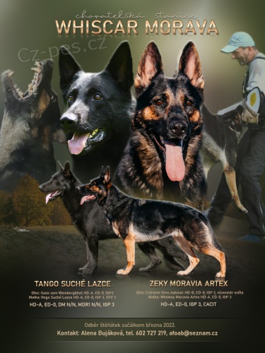 N�meck� ov��k - �t��ata s PP