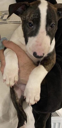 �t��ata b���ho teri�ra.