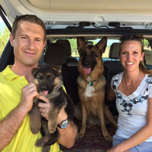 Prod�m �t��ata n�meck�ho ov��ka