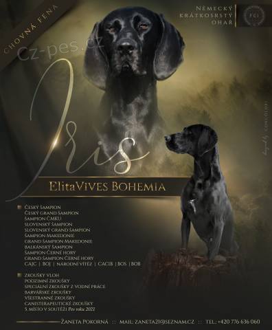 N�meck� kr�tkosrst� oha�